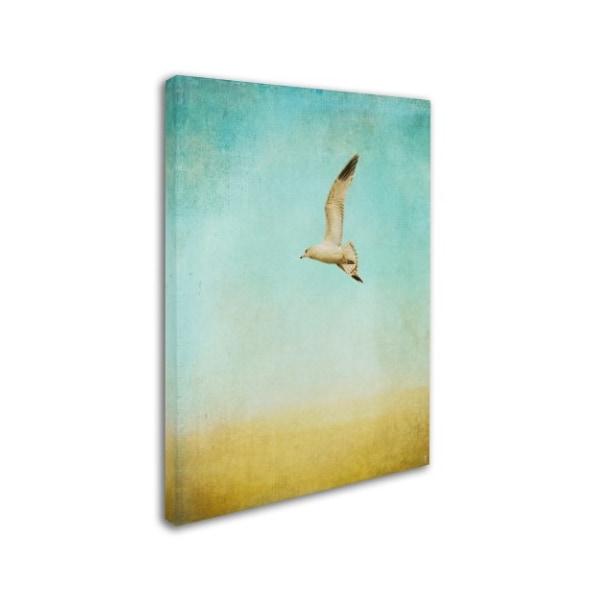 Jai Johnson 'Out To Sea' Canvas Art,14x19